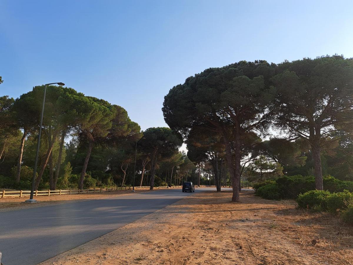 Cosy Appartement A 3Min De La Foret Et 5Min De La Plage Tanger Zewnętrze zdjęcie
